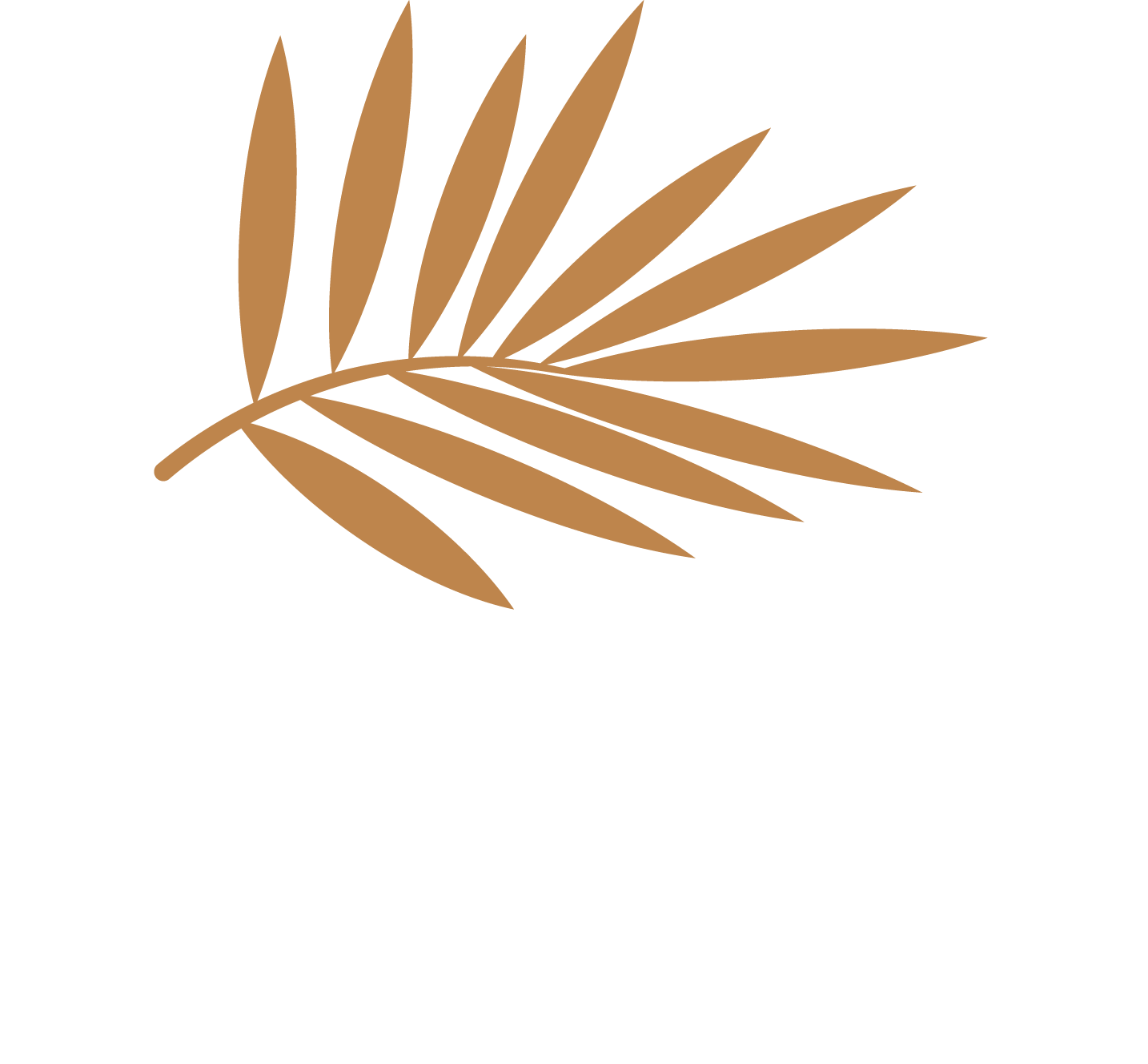 dg-logo-white-letter