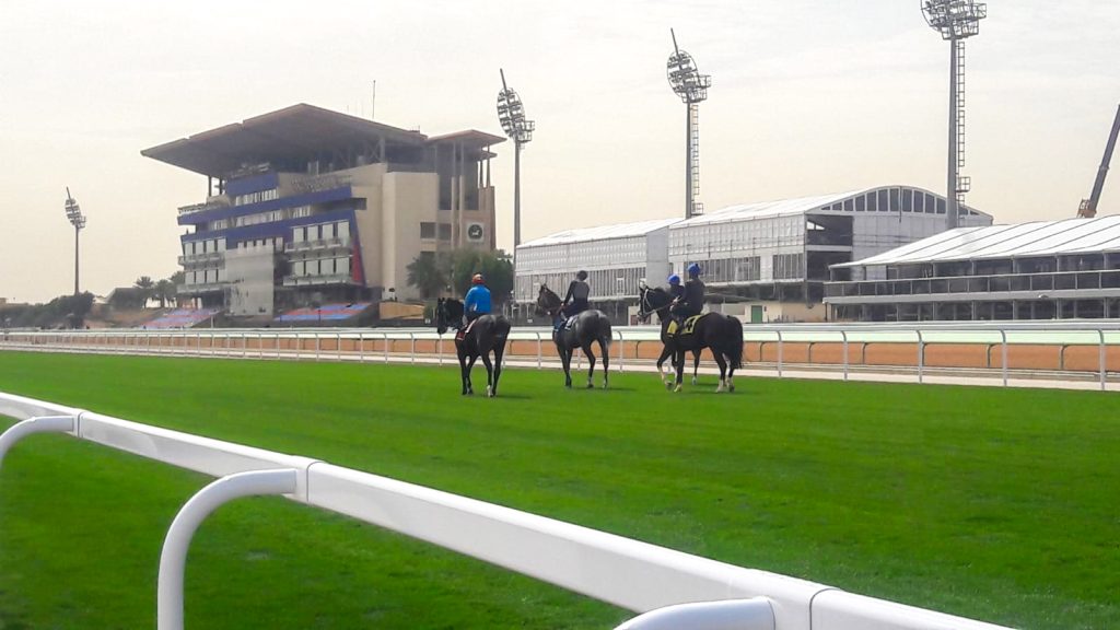 the-saudi-cup-2022-hourse-track