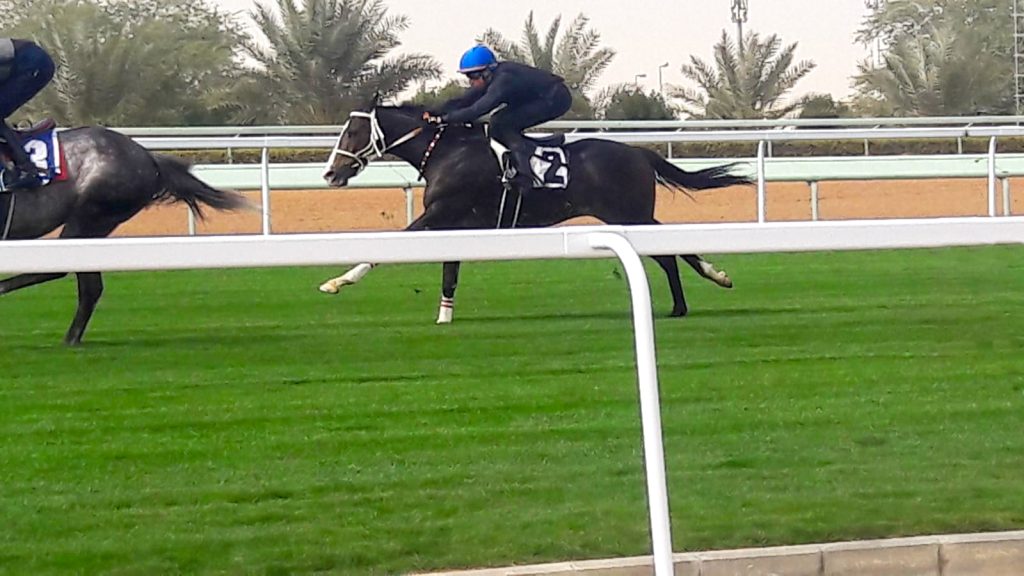 the-saudi-cup-2022-hourse-track